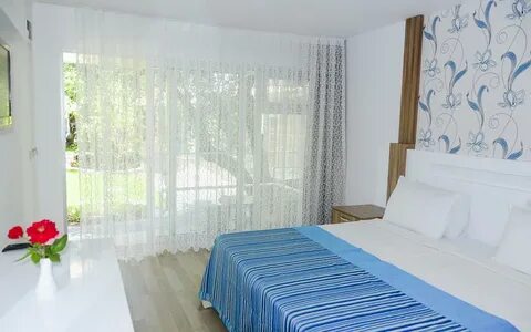 Clover magic hotel