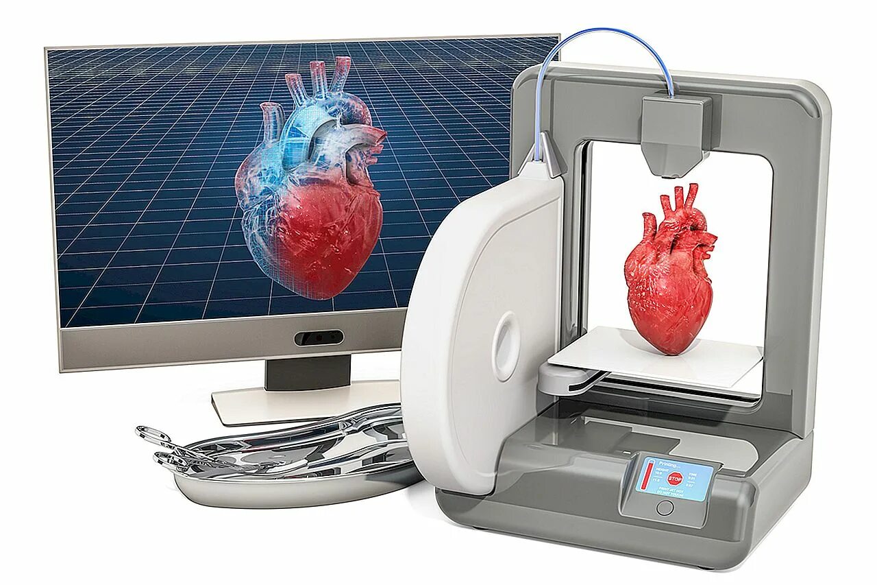 Печатать органы. 3d принтер биопринтер. Технология печатей органов на 3д принтере. 3d технологии в медицине. Аддитивные технологии в медицине.