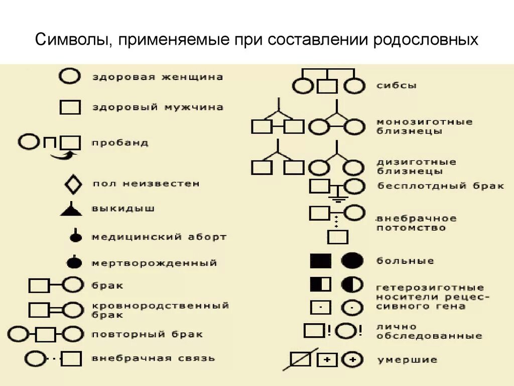 Условные обозначения генетики. Генеалогический метод генетики родословная. Клинико-генеалогический метод принципы родословных. Генеалогический метод родословная схема. Родословные генетика схемы задачи по генетике.