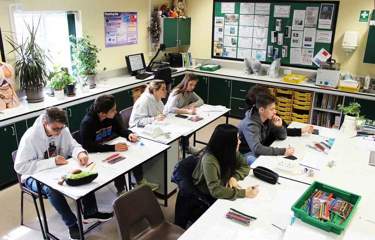 Virtual international school