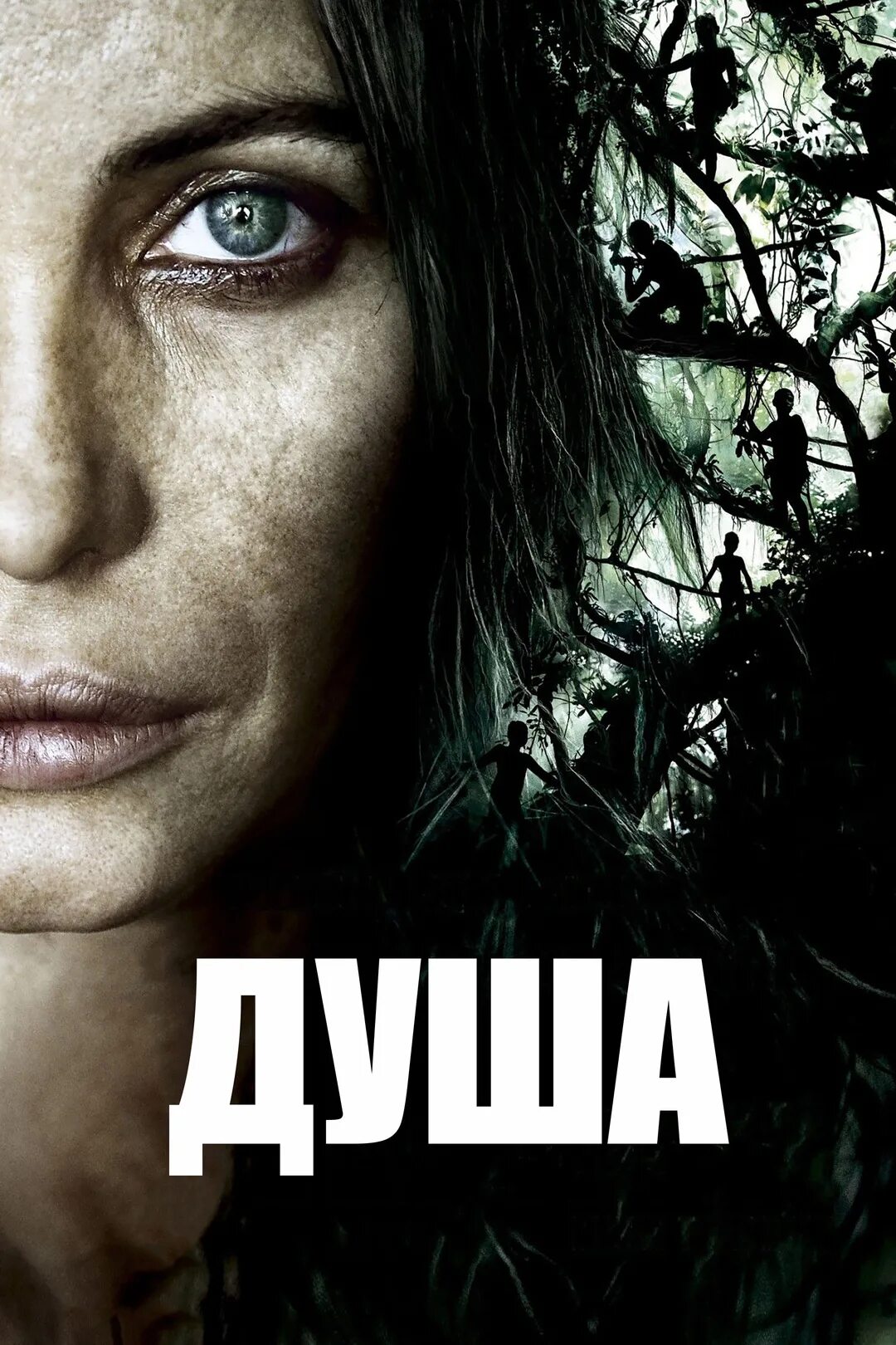 Душа 2008 отзывы. Виньян 2008.