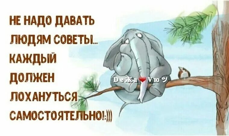 Мастер давать советы. Каждый должен лохануться. каждый должен лохануться самостоятельно картинки. не надо давать людям советы. не нужно давать людям советы каждый должен лохануться самостоятельно.