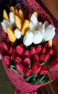 Сколько тюльпанов дарить на 8 маме
