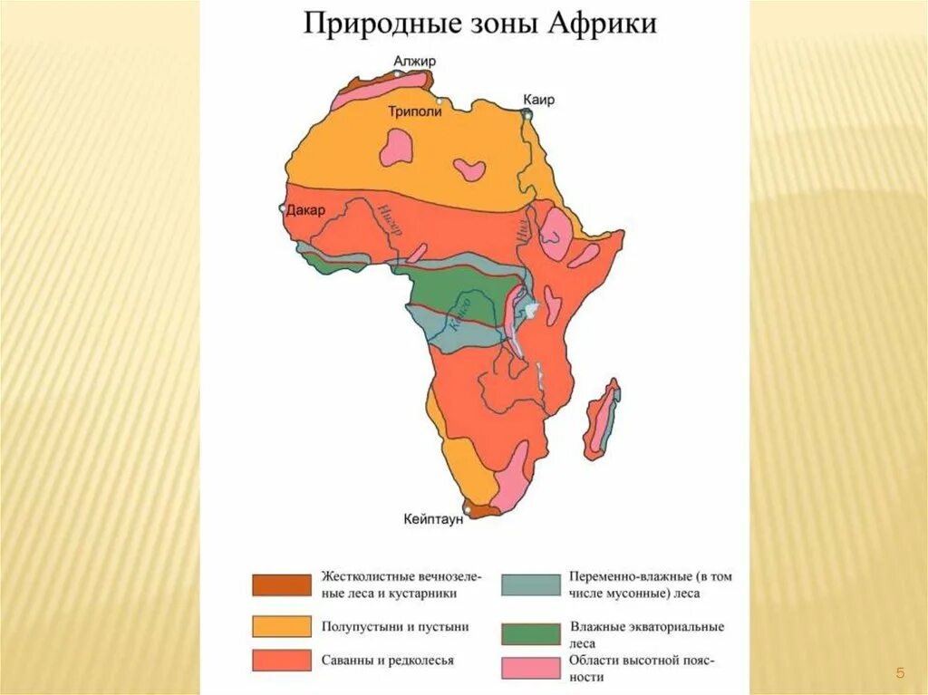 Природные зоны Африки карта география 7. Карта природных зон Алжира. Карта природных зон Африки. Природные зоны Западной Африки. Какие природные зоны в восточной африке