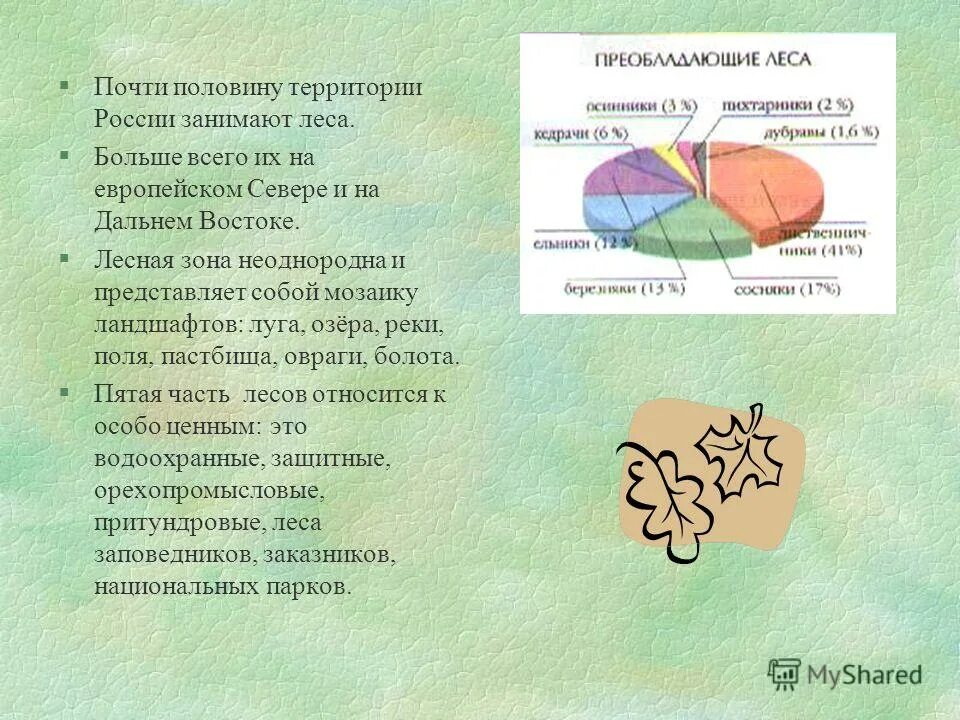 более половины территории занимают. более половины территории занимают. природная зона занимает более половины территории нашей страны. разнообразие лесов россии. более половины территории занимают.