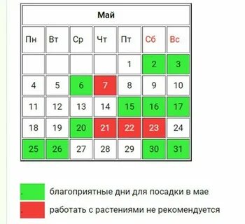 День посадки огурцов