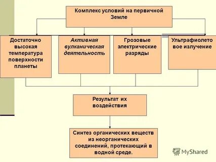 Комплекс условий это