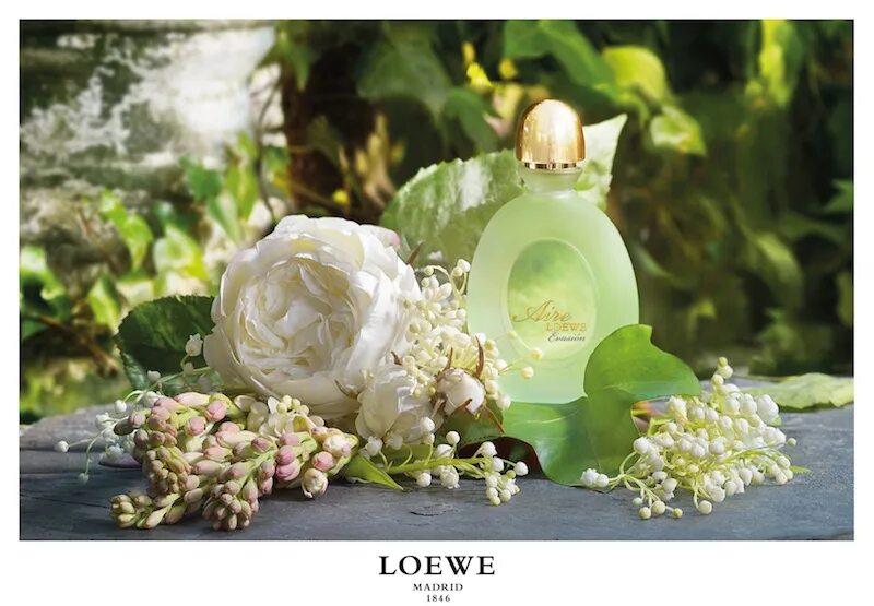 Loewe aire Evasion. Цветочные духи. Духи и цветы. Красивые духи.