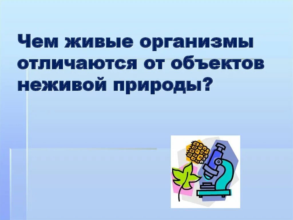 Чем живые организмы отличаются от неживых. Отличие живых организмов от неживых объектов. Отличия живых организмов от неживой природы. Живые организмы отличаются от неживой природы. Живая природа от неживой отличается.