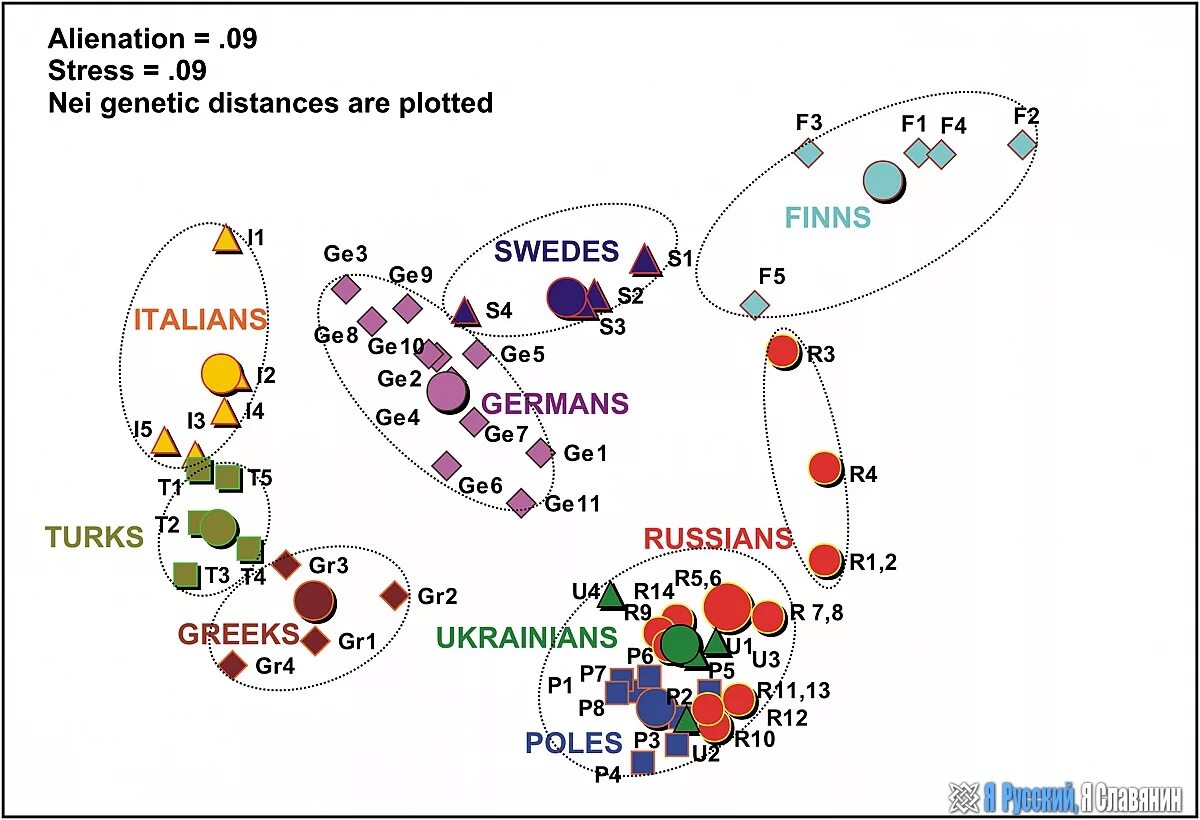 Генетика национальность. Карта ДНК генеалогии. Гаплогруппа Поляков и русских. Русские генетика гаплогруппы. ДНК гаплогруппа русских.