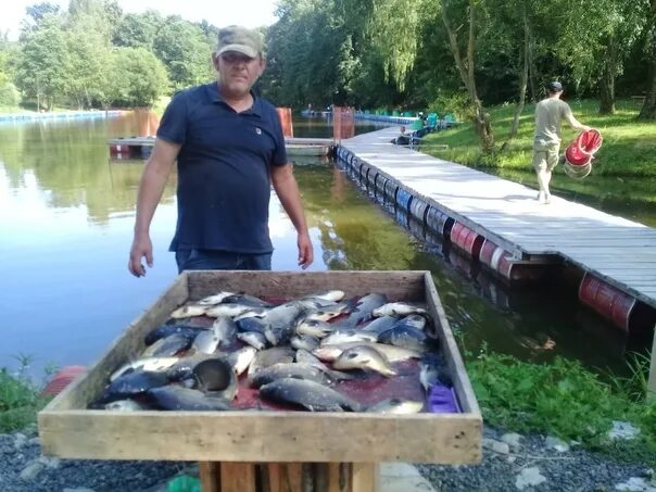 Крх барыбино русфишинг. Рыболовный клуб волна. Барыбино рыбалка. Карп 200 кг. Рыболовный клуб Карп.