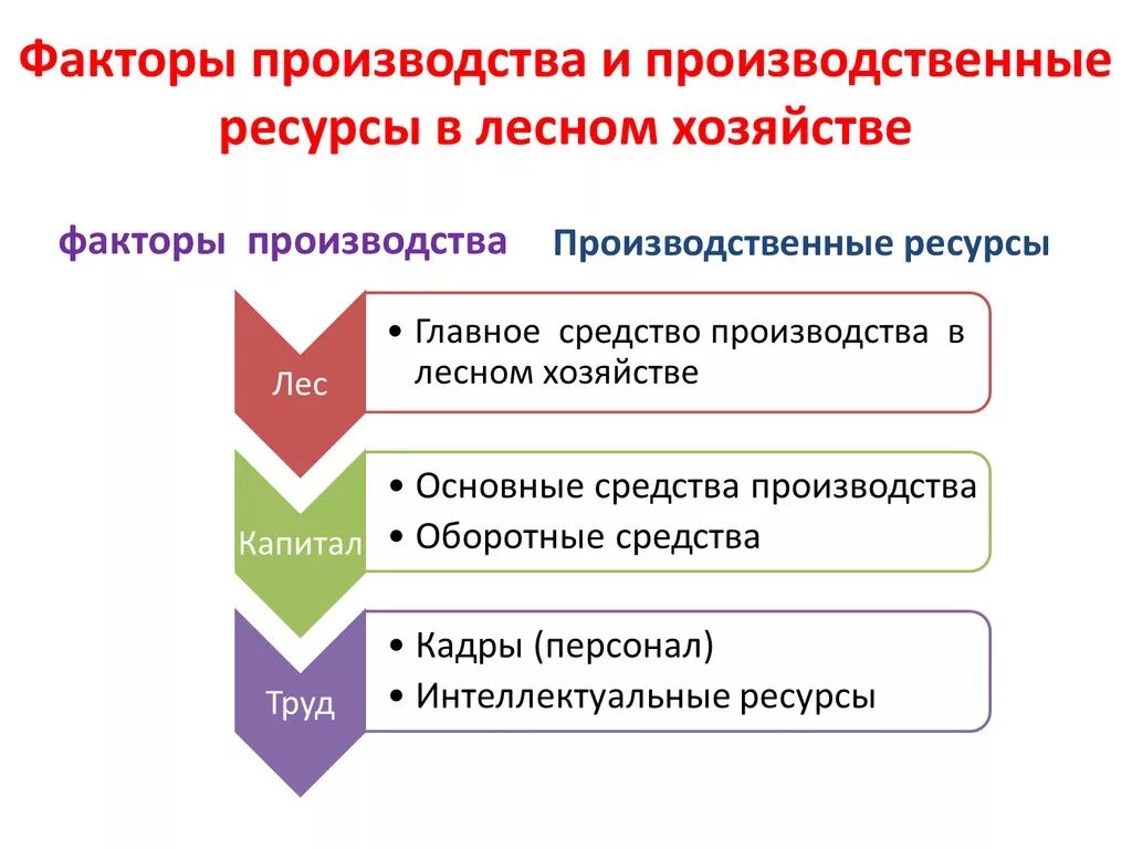 Факторы лесного производства. Сущность лесного хозяйства. Производственные ресурсы. Формы производства в экономике лес. Главное средство производства