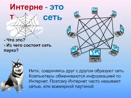 Образуется сеть