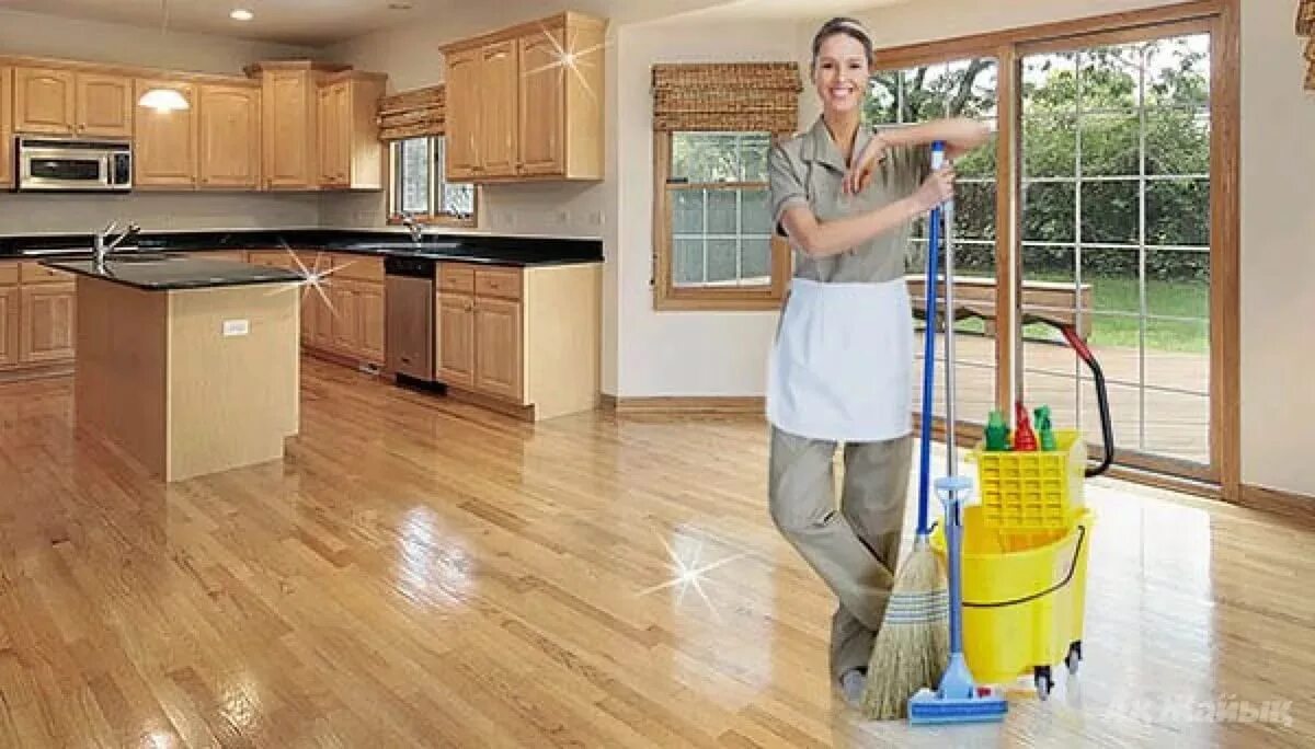 Clean house go