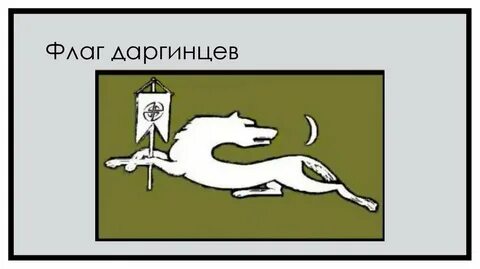 Даргинский флаг