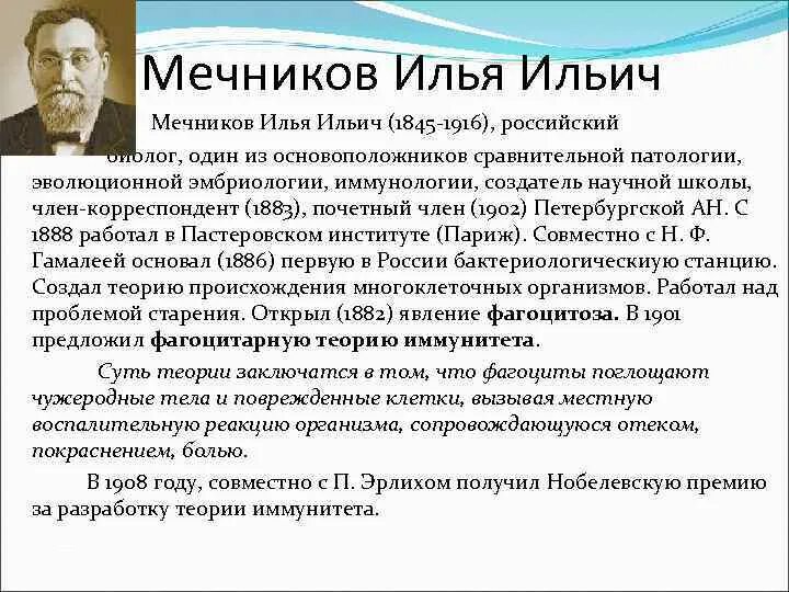 Теория иммунитета ученый. Вклад Ильи Ильича Мечникова кратко. Мечников открытия в микробиологии.