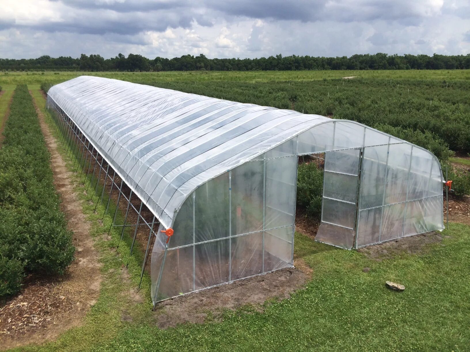 Покрыть теплицу своими руками. Парник Greenhouse т-21. Чехол для теплицы 3х2 из армированной пленки Поларис. Парник пленочный. Теплица пленочная.