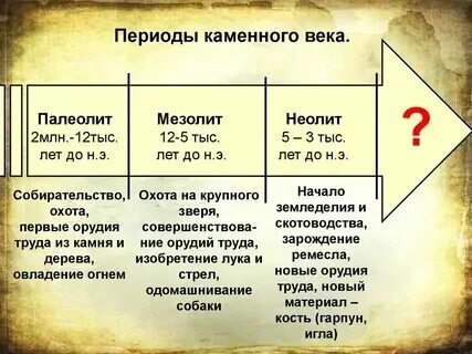 Периодизация первобытности Студент-Сервис