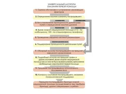 Универсального алгоритма действий