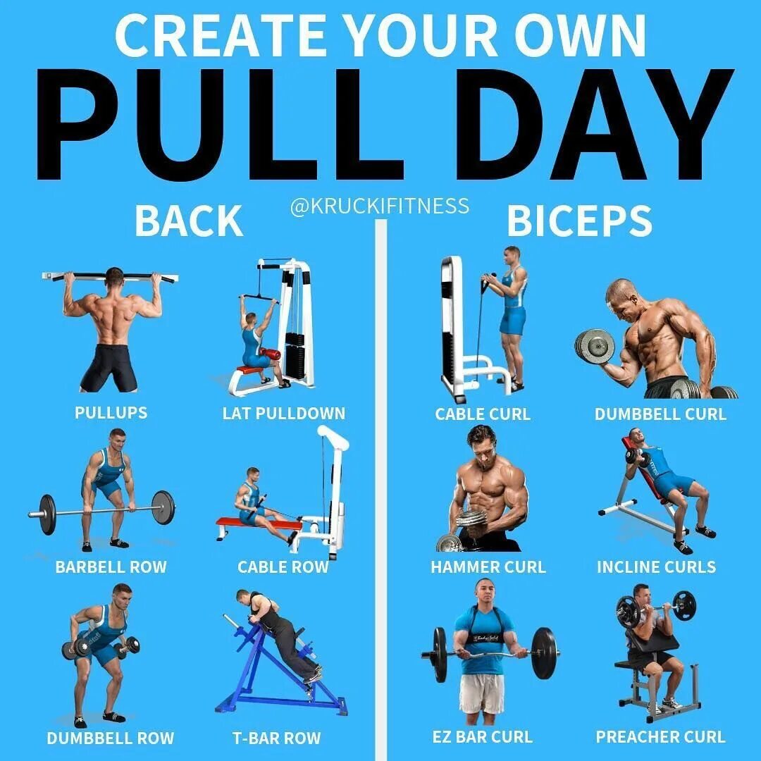 Pull exercises. Pull day. push pull тренировка. план тренировок. pull day exercises.