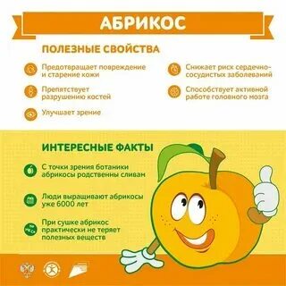 Абрикос вред