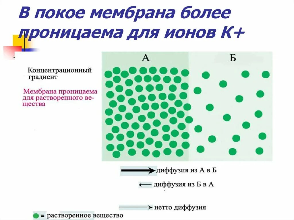 В каком случае мембранные. В каком случае мембранные