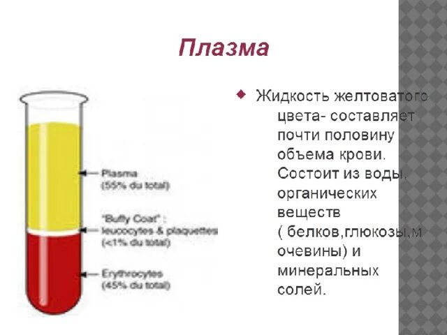 Форма плазмы крови. Состав крови схема. Плазма крови схема. Состав плазмы крови 8 класс биология. Плазма крови строение и функции.