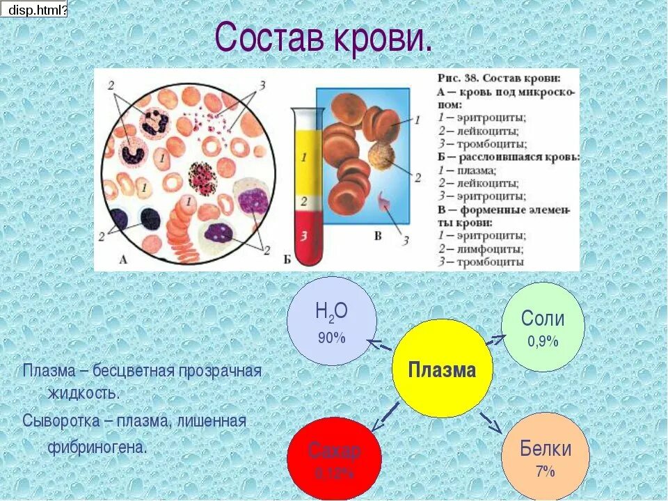 Кровь биология 11 класс. Состав плазмы крови 8 класс биология. Из чего состоит кровь человека схема. Кровь состоит из плазмы и клеток крови. Состав крови человека 8 класс биология.