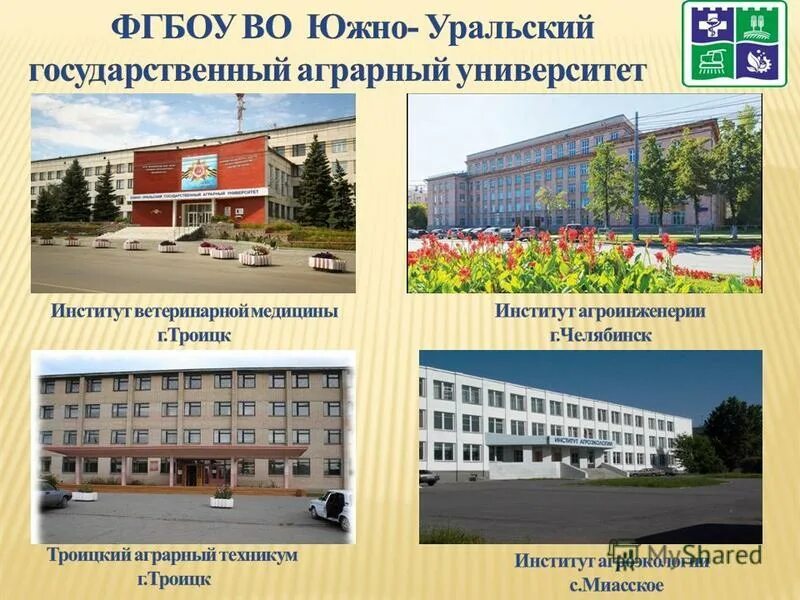 Государственные институты после колледжа