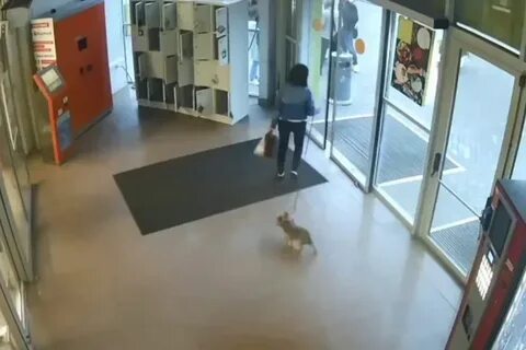 В калининграде обращается