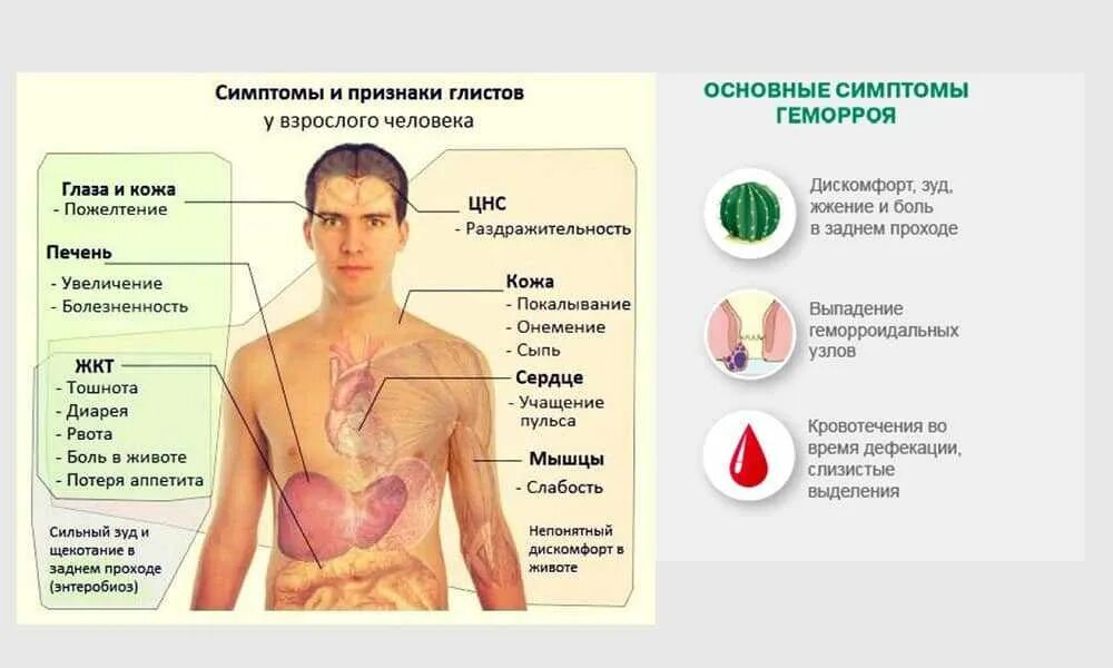 Как понять что в организме паразиты. Симптомы при червях в организме. симптомы глистных инфекций. паразит признаки паразита. проявление глистов симптомы.