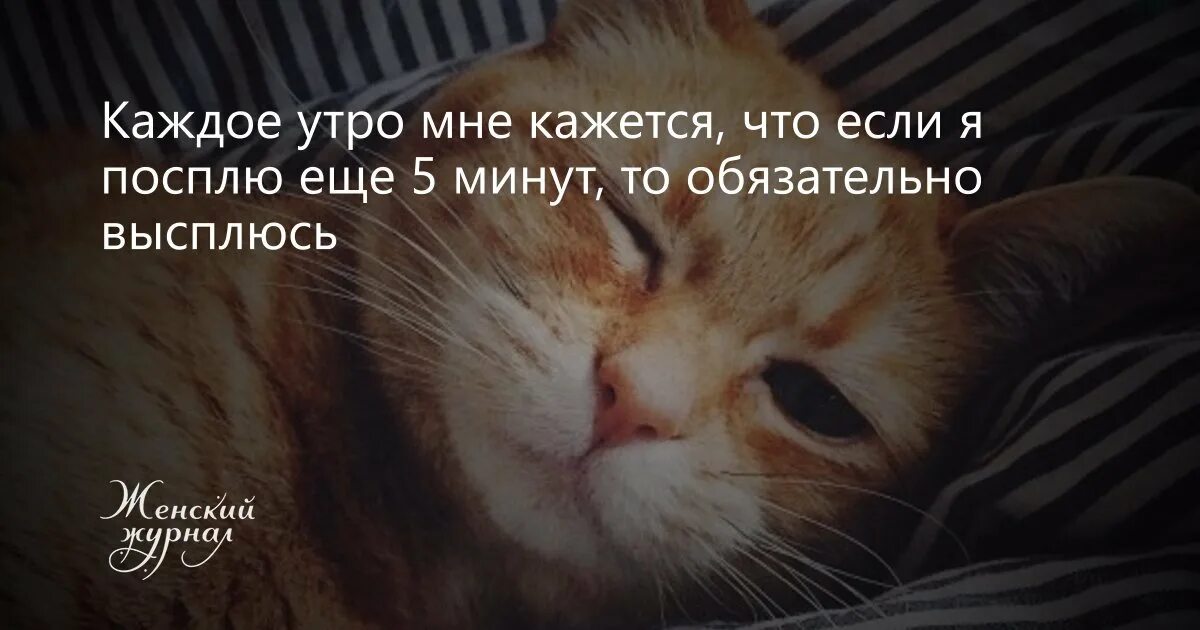 Надеюсь не проснуться утром