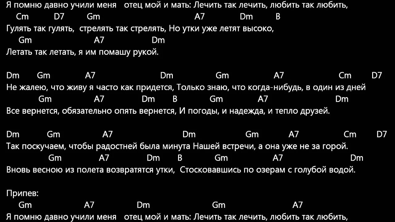 Давно изученный. Утки аккорды. Розенбаум охота аккорды. Я помню давно учили меня. Утиная охота Розенбаум текст.