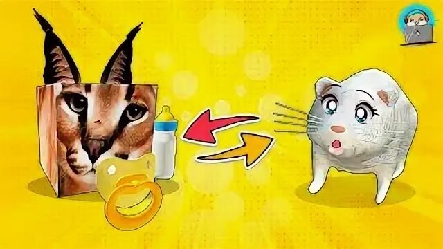 Как найти шлеп в роблоксе. Хомяк роблокс. хомяк в роблоксе картинки. хомяк из роблокса. голова хомяка в роблокс.