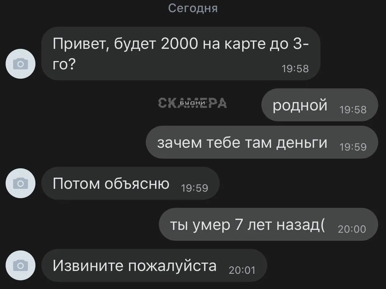 Теперь наш диалог удален и никаких. Родной зачем тебе там деньги. смешные диалоги с мошенниками. диалог с мошенником. зачем тебе там деньги.