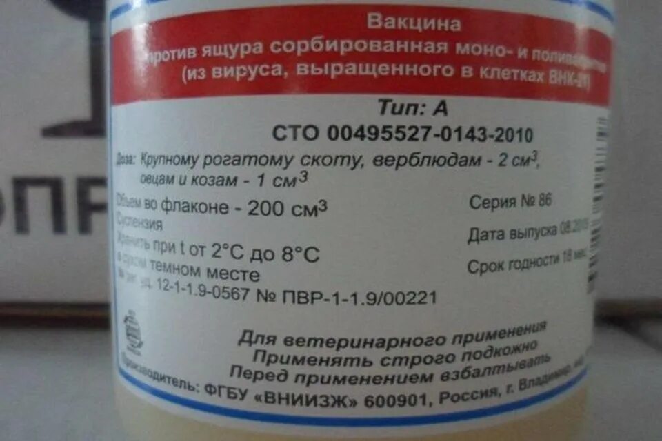 Вакцина 55 внииввим. Ящур вакцина. Вакцина против ящура животных. Вакцина ящура КРС. Вакцина против ящура Щелковский Биокомбинат.