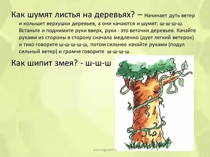 Звуки деревьев какие