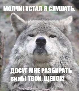 Серенький волчок слушать