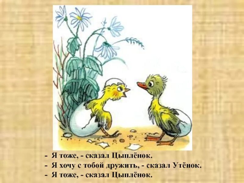 Скажи утку. Сутеев в. "цыпленок и утенок". Про кого расскажет цыпленок. Презентация Сутеев цыпленок и утенок. Что говорит цыпленок.