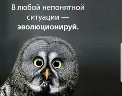 Быстро неясный