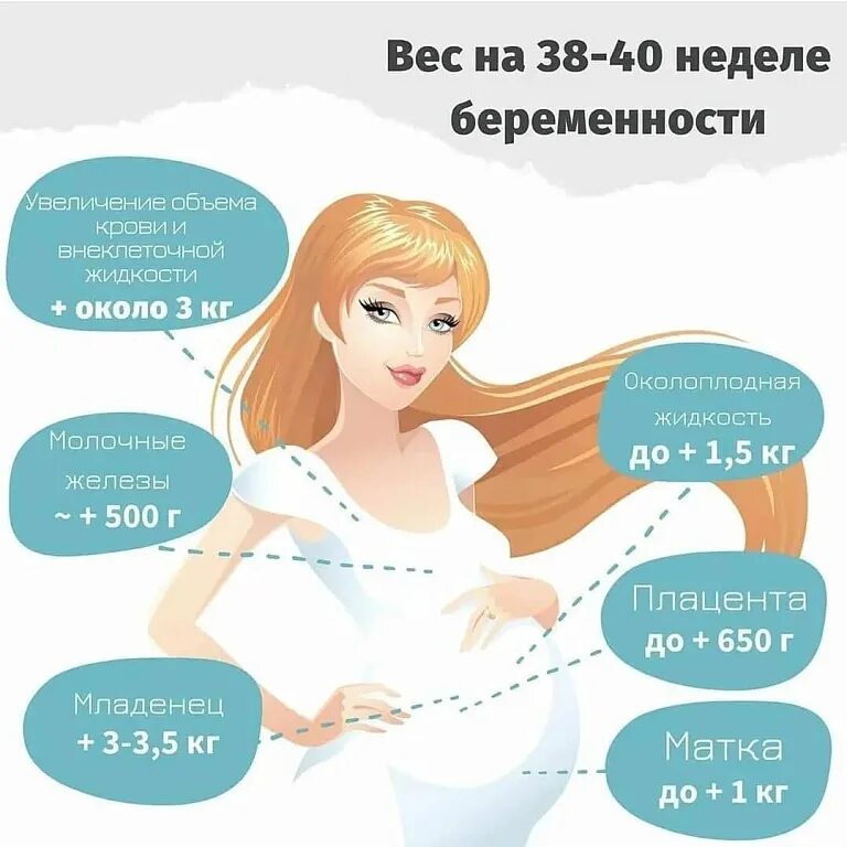 Набор веса при беременостт. Набор веса в беременность. Вес за беременность. Что есть на первых неделях беременности