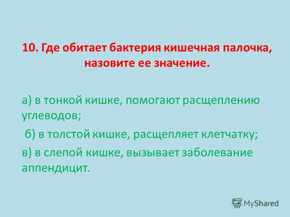 Место обитания кишечной палочки?. О микроорганизмы escherichia coli. Виды кишечных палочек. Где обитает кишечная палочка. Кишечная палочка доклад.