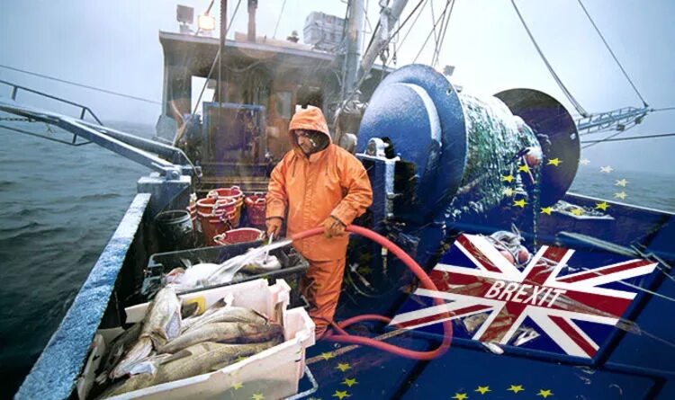 Рыболовство в Англии. Рыболовные промыслы. Рыбная промышленность Британии. Рыбный промысел в Норвегии.