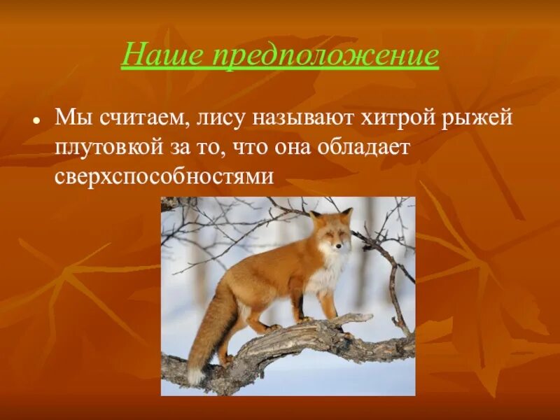 Лисьи повадки. Повадки лисиц. Повадки лисы для детей. Рассказ про лису. Повадки лисов