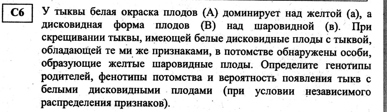 Наследование формы плода у тыквы. У тыквы белая окраска плодов и дисковидная форма плодов доминирует. У тыквы дисковидная форма плода доминирует. Тыкву имеющую желтые плоды дисковидной формы скрестили. У тыквы дисковидная форма плода доминирует.