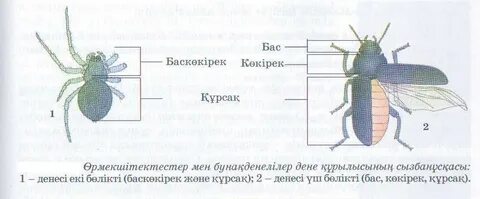 Пионер лагерінде 40 жастан асқан әйелмен орыс секс
