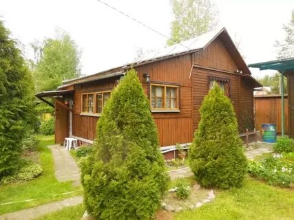 Дачная 50