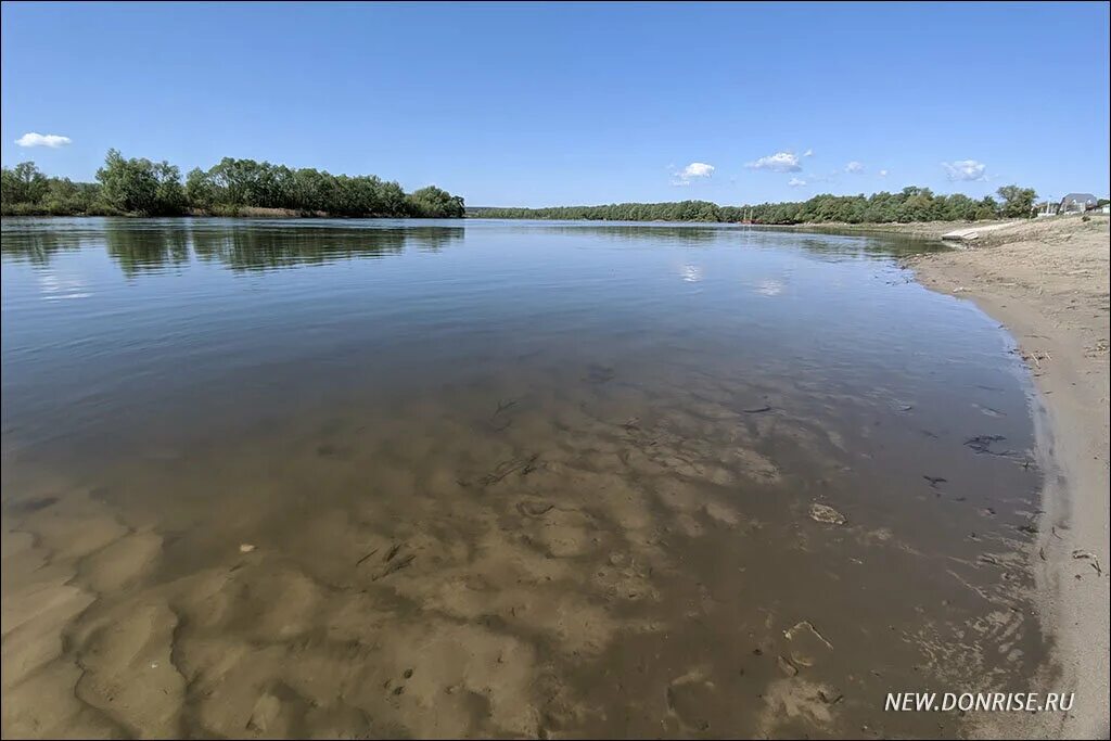 Температура воды в реке дон в ростове. Река Дон Вешенская. Вешенская Дон пляж. Остров посередине реки. Пляж в Вешенской.