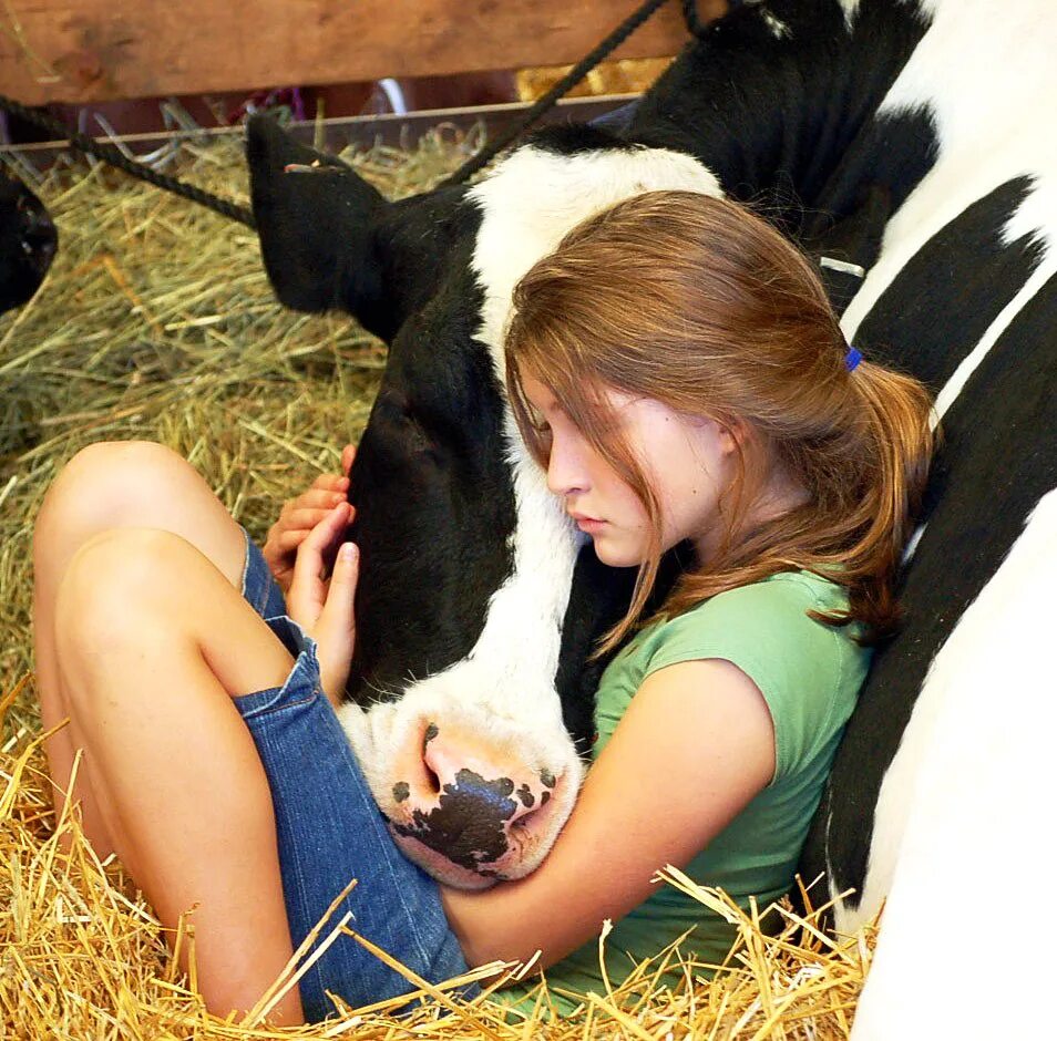 Девушка корова. Девушка обнимает корову. Девочка корова. Телки коровы.