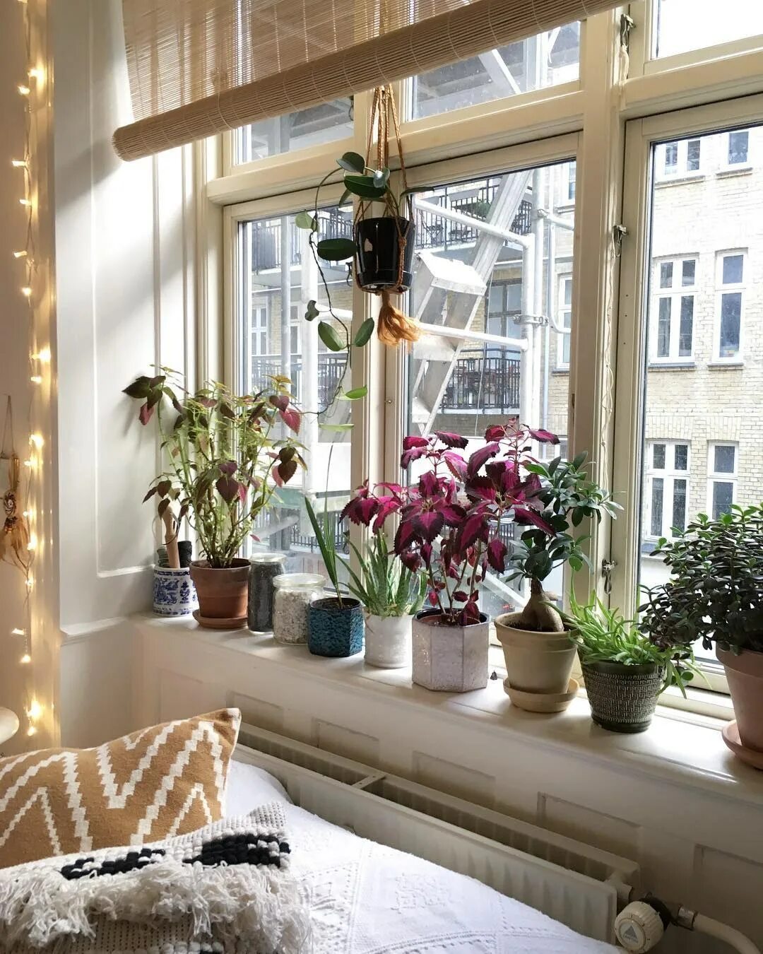 Комнатные цветы на подоконнике. Композиция на подоконнике. Красивый подоконник с цветами. Кашпо для каланхоэ. Цветы в горшках на подоконнике.